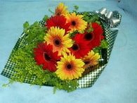 Ankara Keiren ieki dkkanmzdan Kark gerbera iekleri buketi