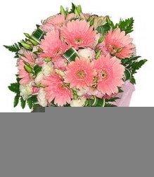 gerbera ieklerinden buket Ankara ostim iek siparii firma rnmz 