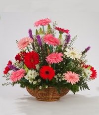 Ankara Keiren Yenimahalle ieki firma rnmz Kark Gerbera mevsim sepeti iei Ankara iek gnder firmas ahane rnmz 