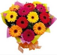 15 adet gerbera ieinden buket 